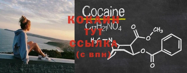 шишки Баксан