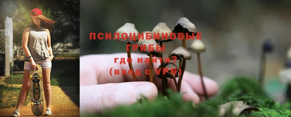 гидропоника Арсеньев