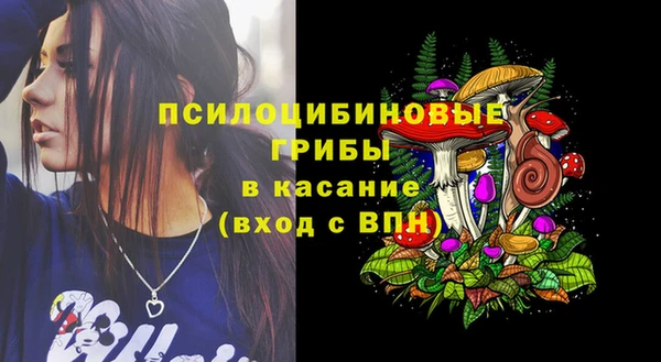 кокс Аркадак