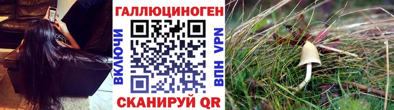 Галлюциногенные грибы Psilocybe  это как зайти  Вихоревка  дарнет шоп 